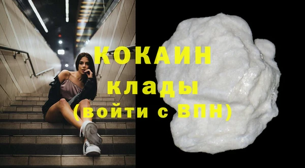 ГАЛЛЮЦИНОГЕННЫЕ ГРИБЫ Аркадак