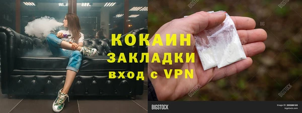 ГАЛЛЮЦИНОГЕННЫЕ ГРИБЫ Аркадак