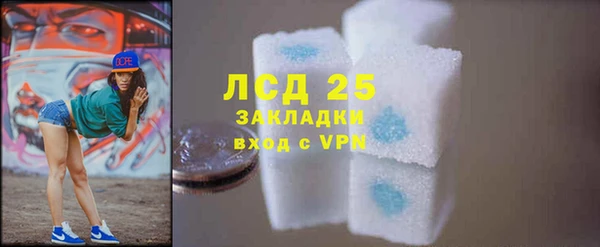 ГАЛЛЮЦИНОГЕННЫЕ ГРИБЫ Аркадак