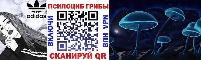 Галлюциногенные грибы Magic Shrooms  Себеж 